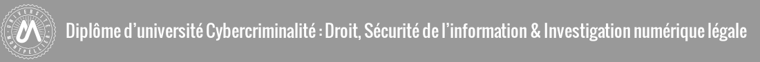 Diplôme d’université Cybercriminalité : Droit, Sécurité de l’information & Investigation numérique légale Logo